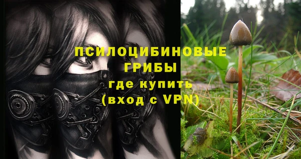 ALPHA PVP Алексин