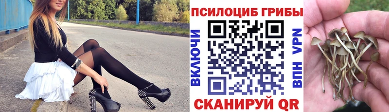 Галлюциногенные грибы MAGIC MUSHROOMS  Фатеж 